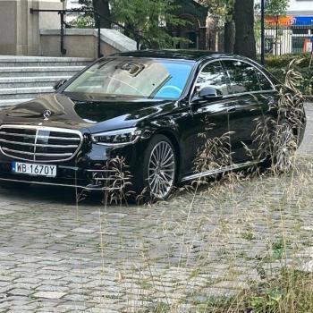 diamond-car-s-klasa-09